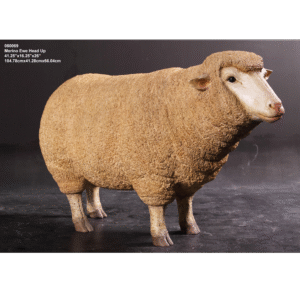 Leen van Dam Decoraties - Schaap Merino