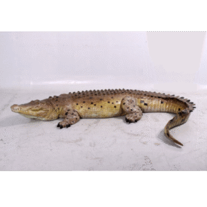Krokodil 340 cm