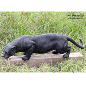 Zwarte Panter