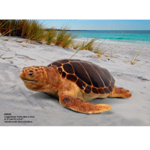Leen van Dam Decoraties -