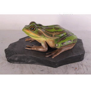 Leen van Dam Decoraties - Kikker op rots