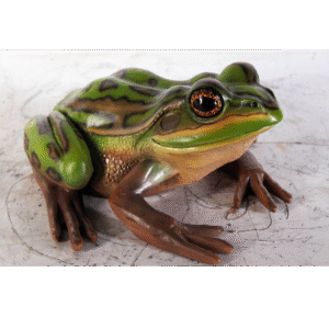 Groen Gouden Kikker