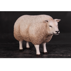 Leen van Dam Decoraties - Schaap Texelaar