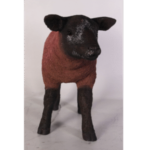 Leen van Dam Decoraties - Lam Texelaar bruin/zwart