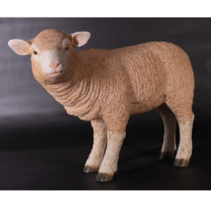 Leen van Dam Decoraties - Lam Merino