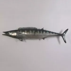 Leen van Dam Decoraties - Wahoo Vis