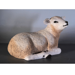 Leen van Dam Decoraties - Lam Texelaar Liggend