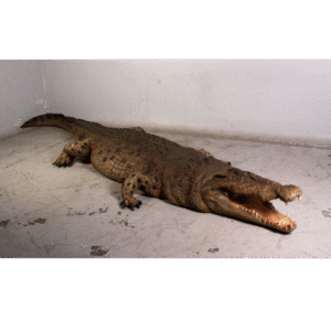 Krokodil 4.70 m