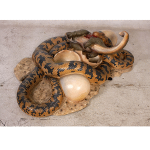 Leen van Dam Decoraties - Etende Phyton