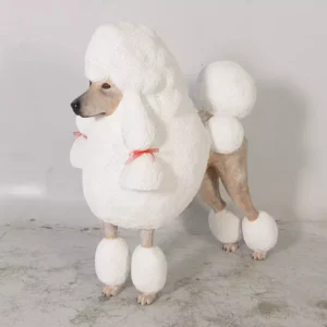 Poedel Hond