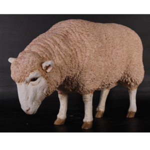 Leen van Dam Decoraties - Schaap Merino