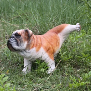 Leen van Dam Decoraties - Plassende Bulldog