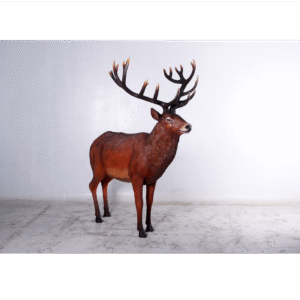 Leen van Dam Decoraties -