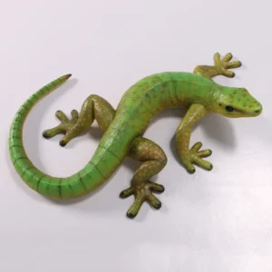 Leen van Dam Decoraties - Leguan Gekko 60 cm