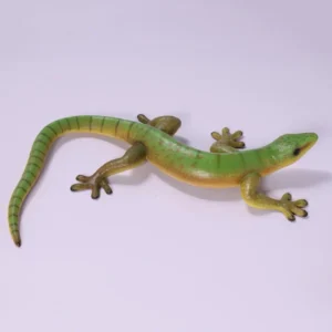 Leen van Dam Decoraties - Leguaan Gekko 80 cm