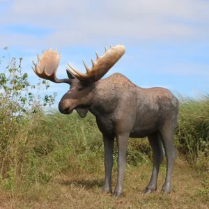 Eland Levensgroot