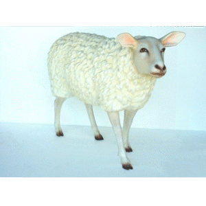 Leen van Dam Decoraties - Schaap