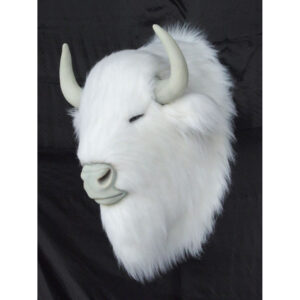 Witte Buffalo kop