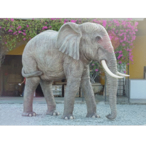 Olifant jumbo