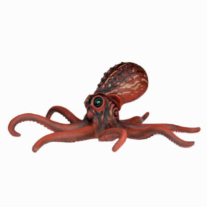 Octopus