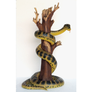 Leen van Dam Decoraties - Anaconda Slang om Boom