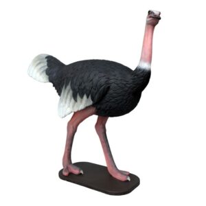 Leen van Dam Decoraties - Struisvogel