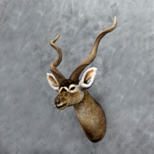 Kudu Kop