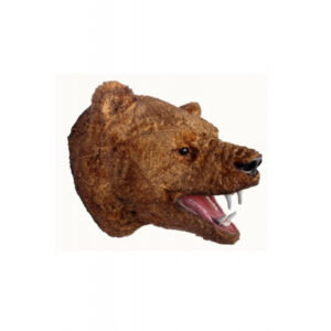 Beren Kop Bruin