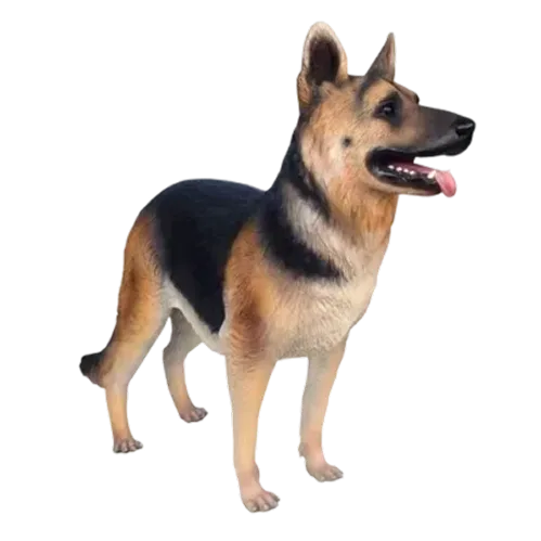 Categorie home - dieren