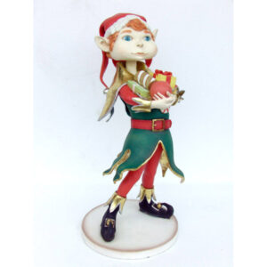 Elf jongen