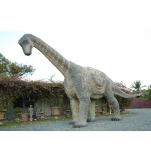 Leen van Dam Decoraties - Gigantische Camarasaurus dinosaurus