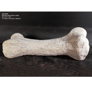 Leen van Dam Decoraties - Gigantisch dinosaurus bot