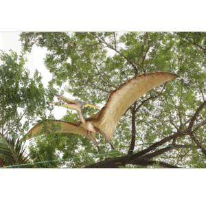 Leen van Dam Decoraties - Pteranodon dinosaurus