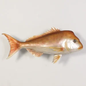 Leen van Dam Decoraties - Snapper