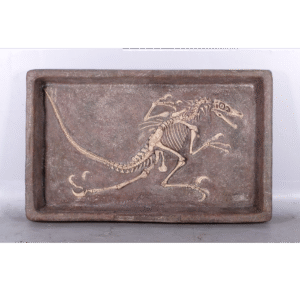 Leen van Dam Decoraties - Velociraptor dinosaurus fossiel in frame