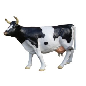 Koe Melkinstructie