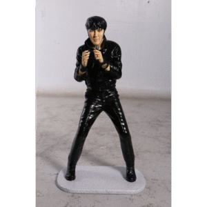Singer Leather Standing Elvis Presley