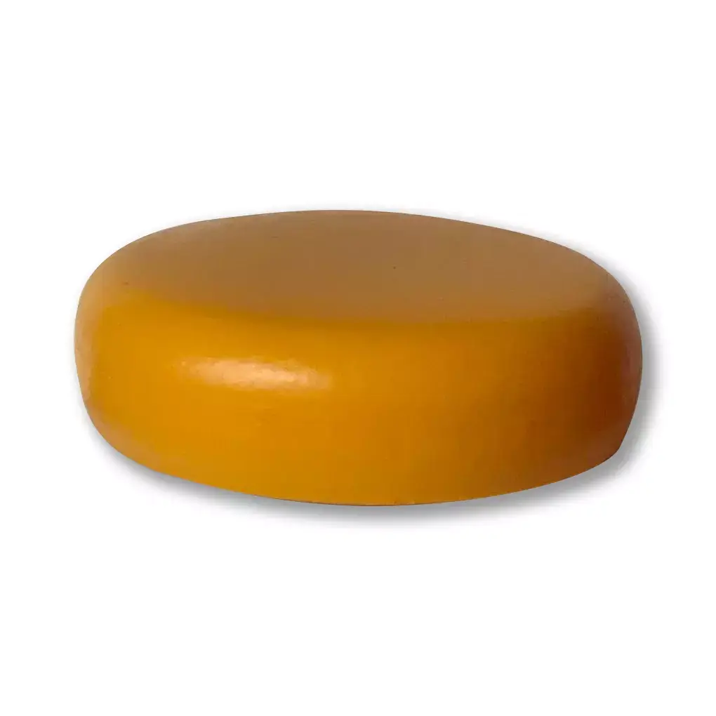 Kaasdummy 12 kg Kanter
