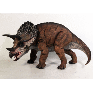 Leen van Dam Decoraties - Triceratops dinosaurus